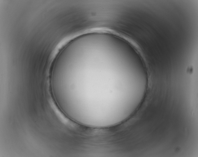 X0000113201430200909100912