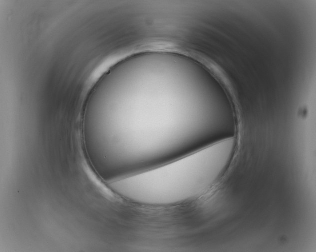 X0000113201432200909100912