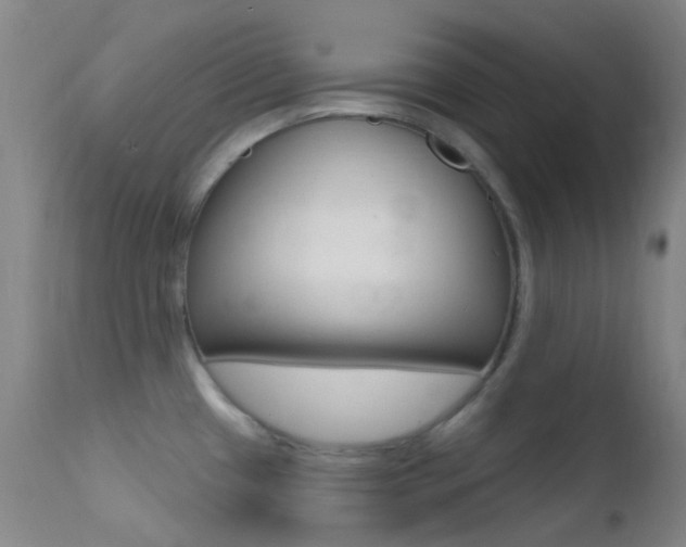 X0000113201433200909100912