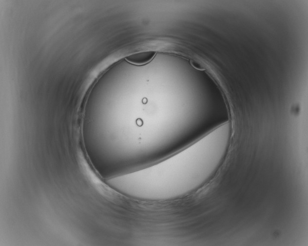 X0000113201434200909100912