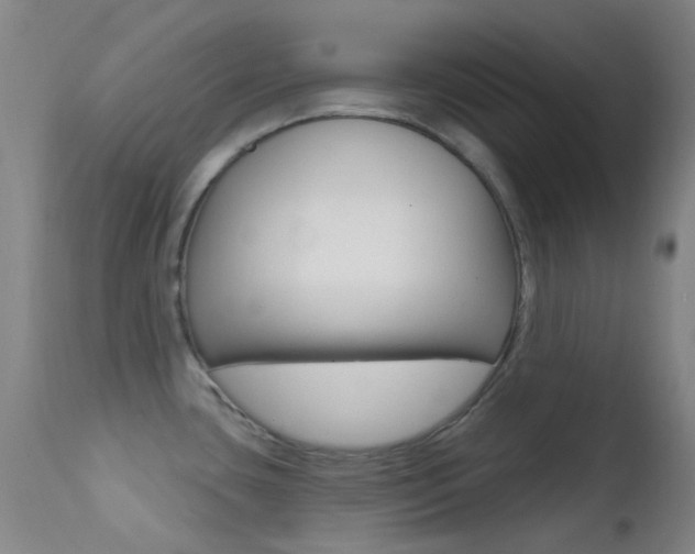 X0000113201435200909100912