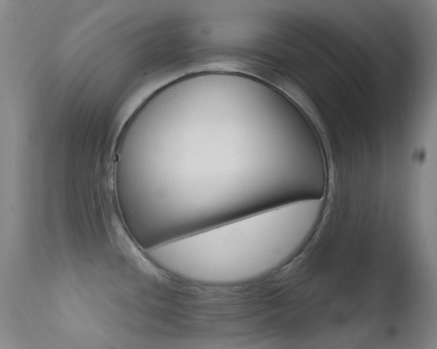 X0000113201436200909100912