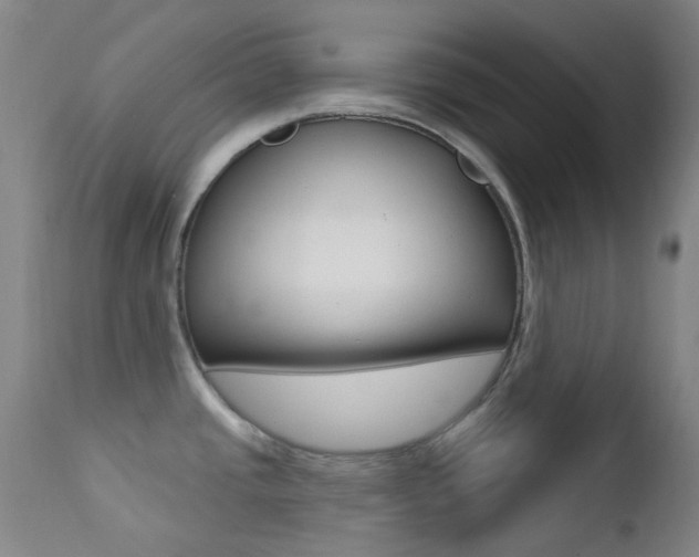 X0000113201437200909100912
