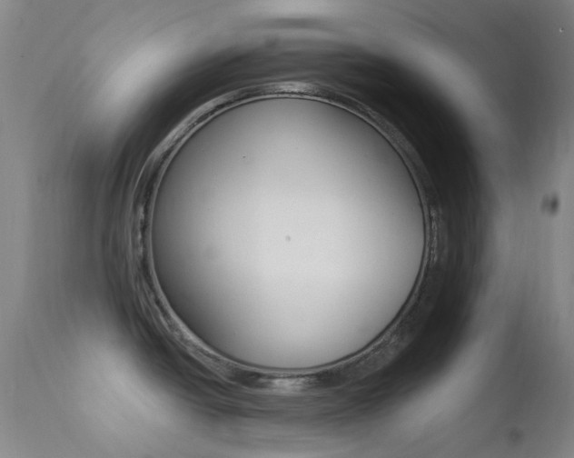 X0000113201438200909100912