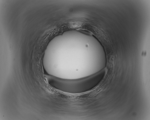 X0000113201441200909100911