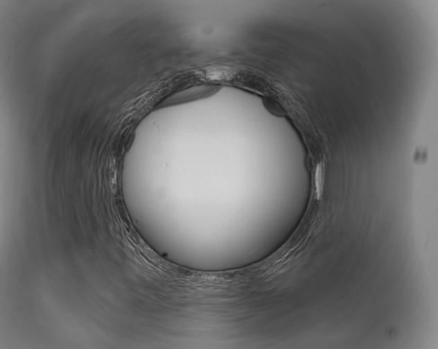 X0000113201443200909100911