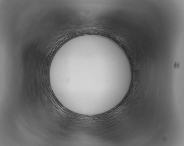 X0000113201444200909100911