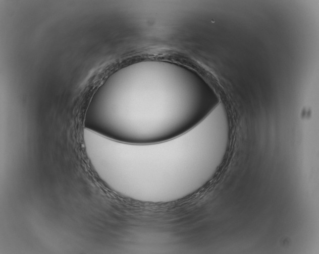 X0000113201447200909100911