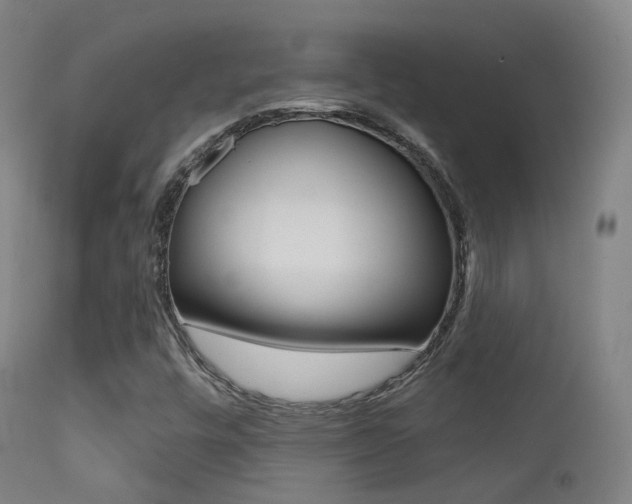 X0000113201448200909100911