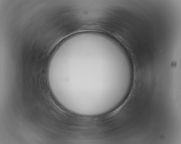 X0000113201449200909100911