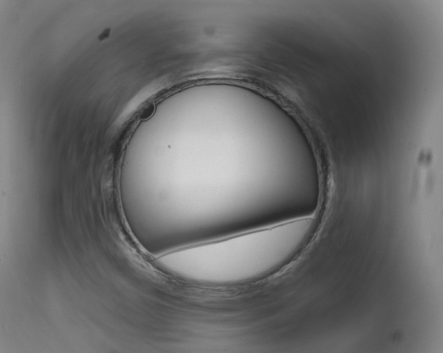 X0000113201450200909100911