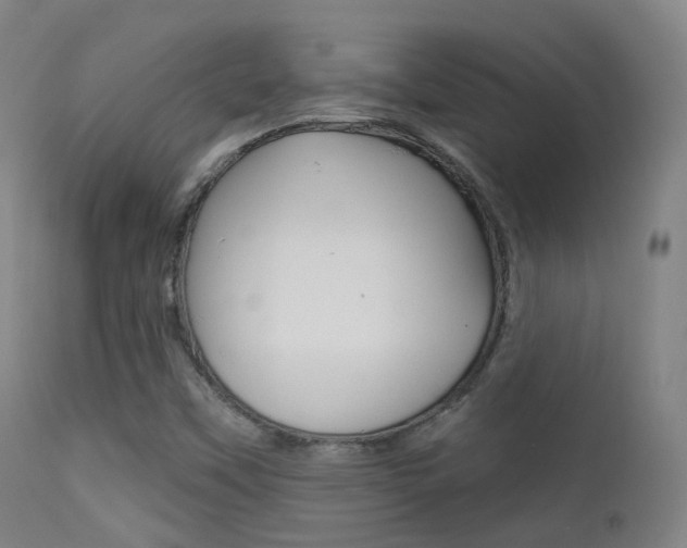 X0000113201451200909100911