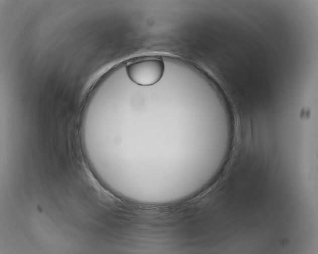 X0000113201452200909100911