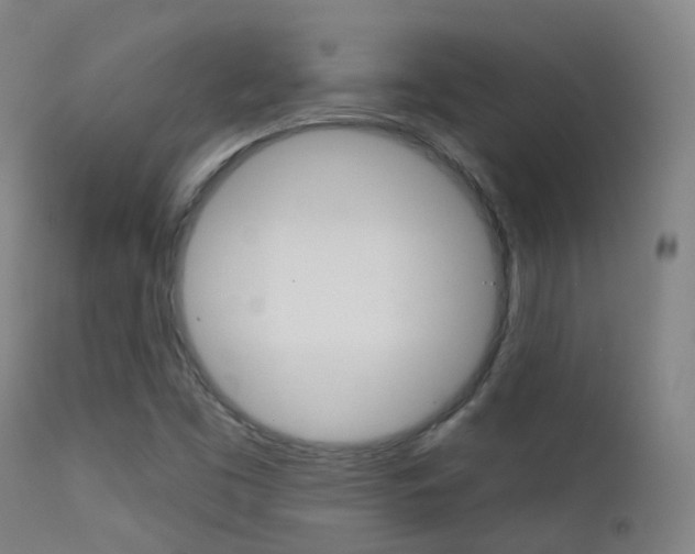 X0000113201453200909100911
