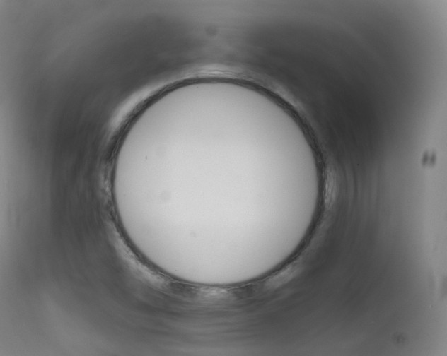 X0000113201454200909100911