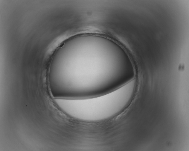 X0000113201455200909100911