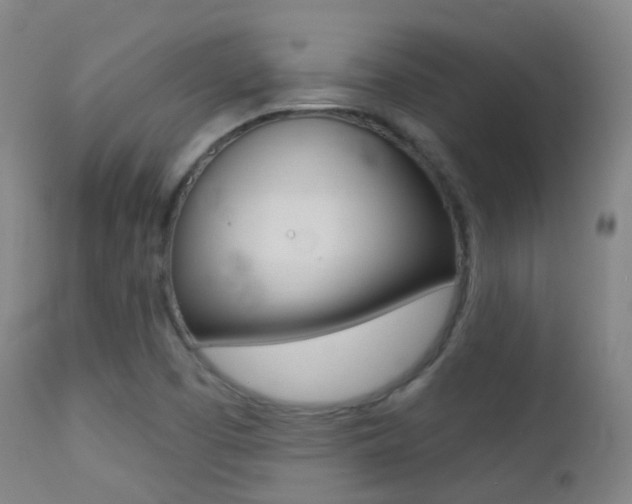 X0000113201457200909100911