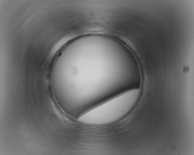 X0000113201458200909100911