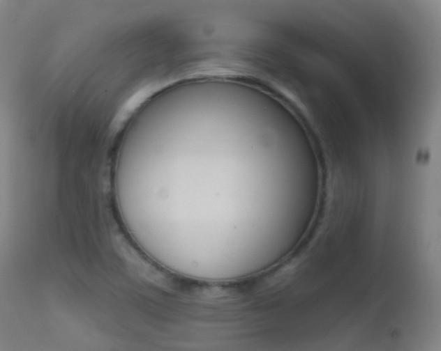 X0000113201459200909100911