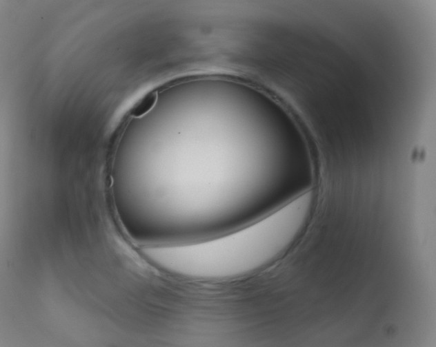 X0000113201460200909100911