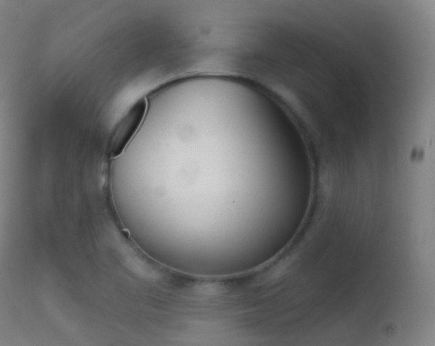 X0000113201461200909100911