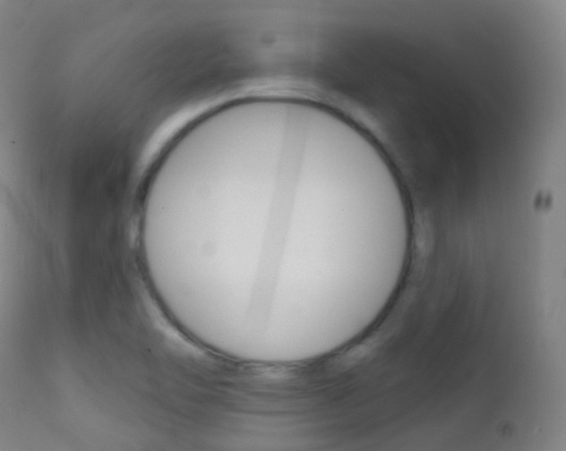X0000113201462200909100911