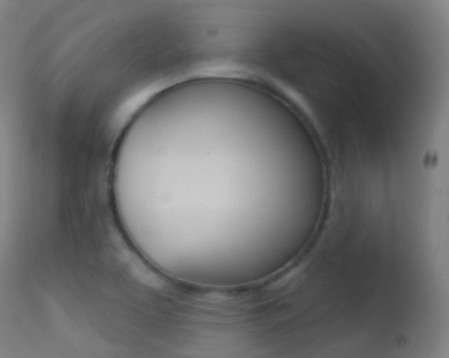 X0000113201463200909100911