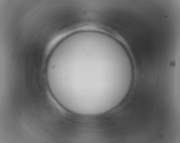 X0000113201464200909100911