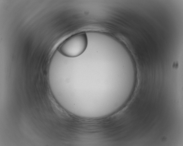 X0000113201465200909100911