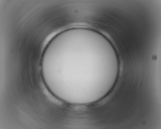 X0000113201466200909100911