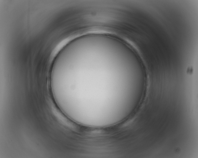 X0000113201467200909100911