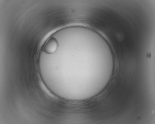 X0000113201468200909100911