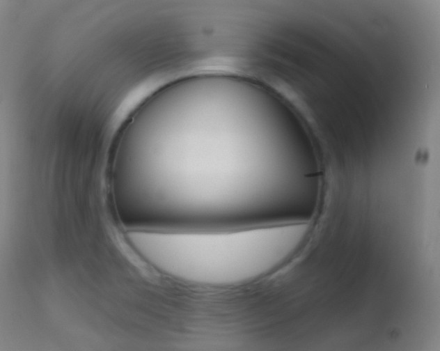X0000113201469200909100911
