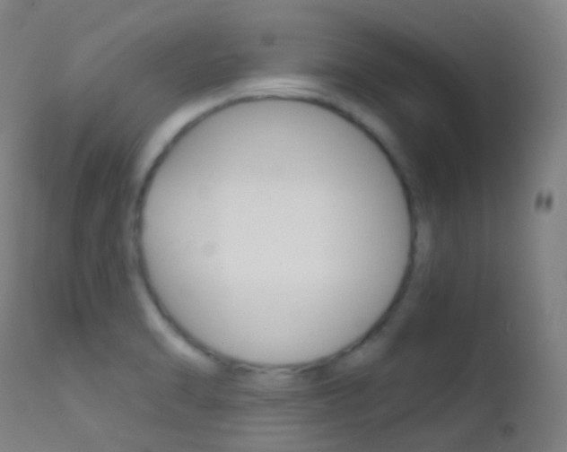 X0000113201470200909100911