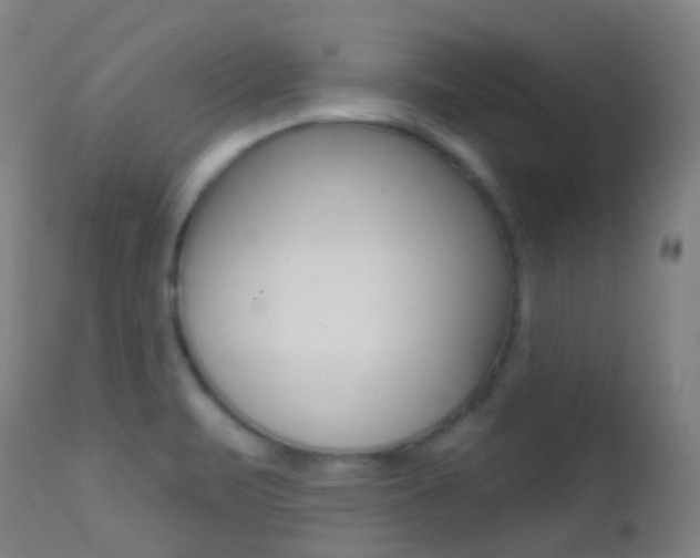 X0000113201471200909100911