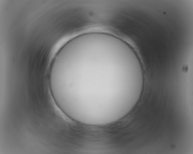 X0000113201472200909100911
