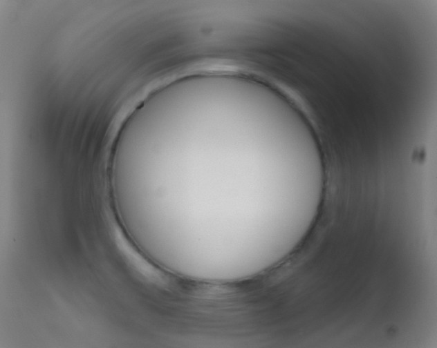 X0000113201475200909100911