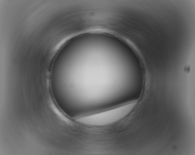 X0000113201476200909100911