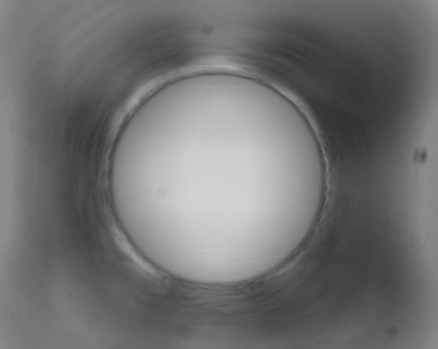 X0000113201477200909100911