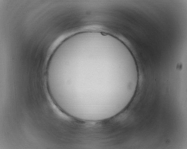 X0000113201478200909100911