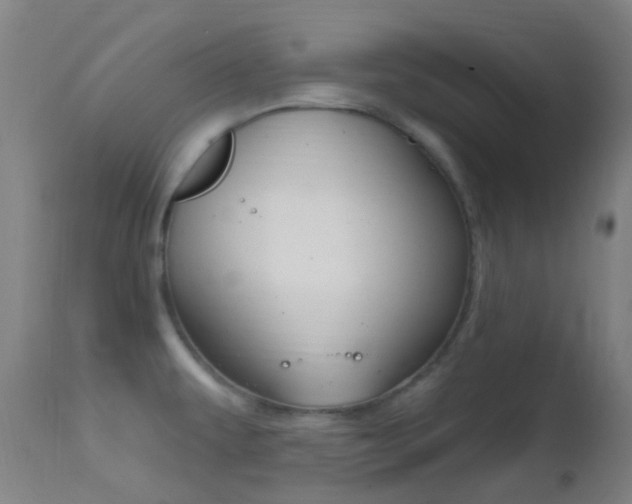 X0000113201479200909100911