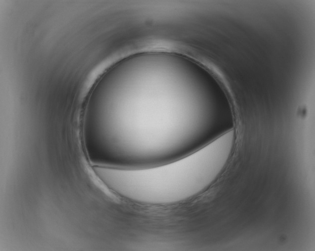 X0000113201480200909100911