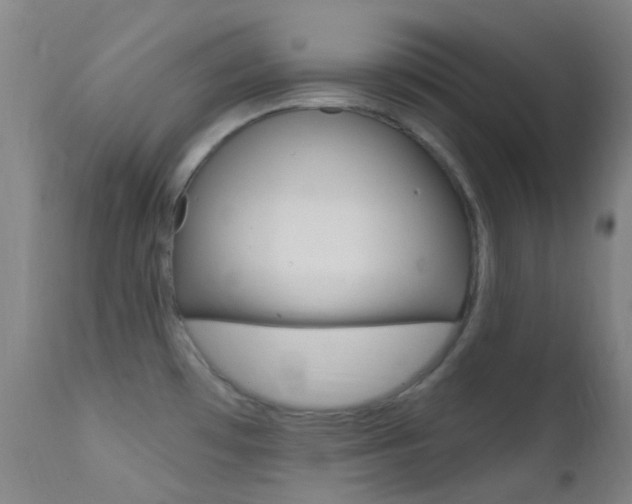 X0000113201481200909100911