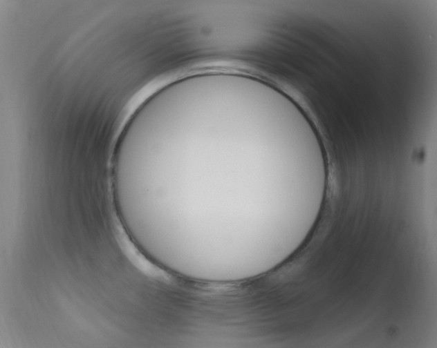 X0000113201482200909100911