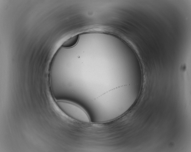 X0000113201483200909100911