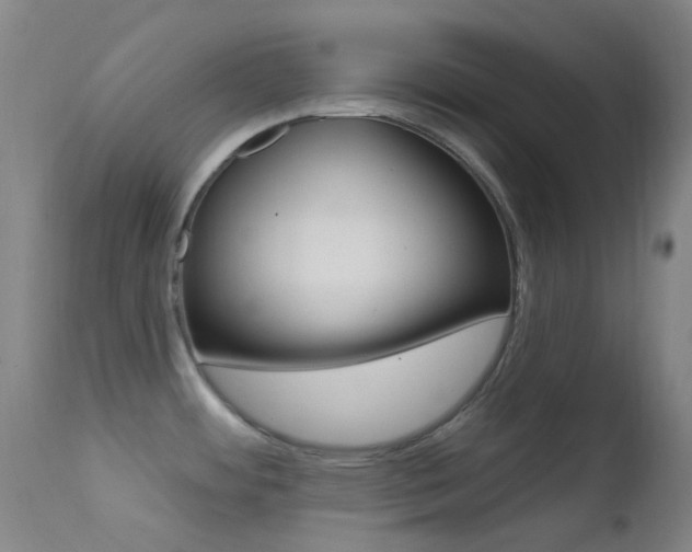 X0000113201484200909100910