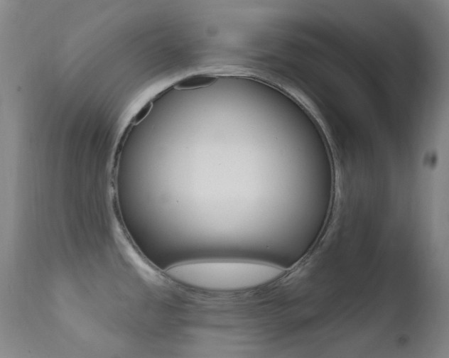 X0000113201485200909100910