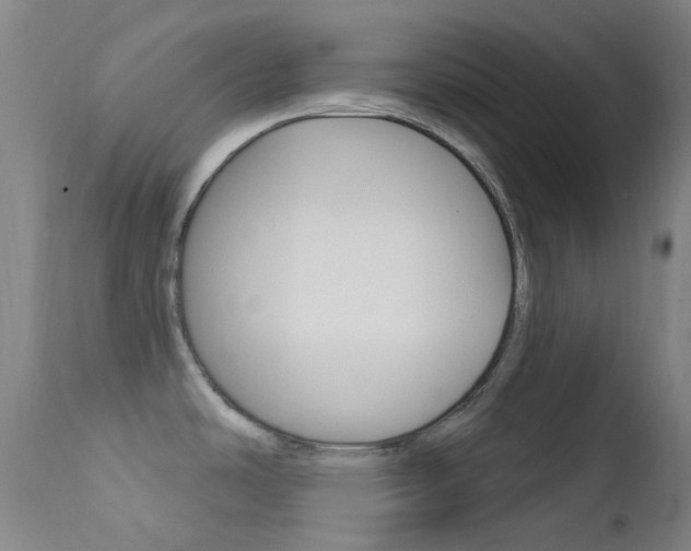 X0000113201486200909100910