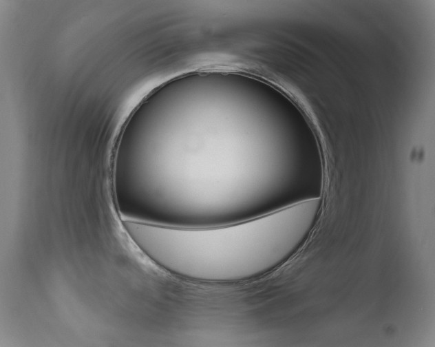 X0000113201488200909100910