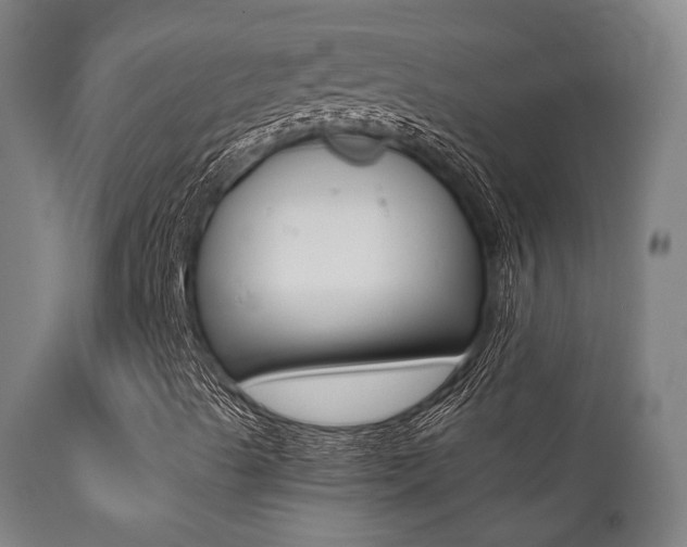 X0000113201489200909100910